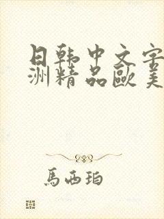 日韩中文字幕亚洲精品欧美人妻在线