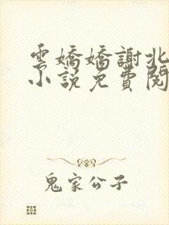 云娇娇谢北溟的小说免费阅读封面