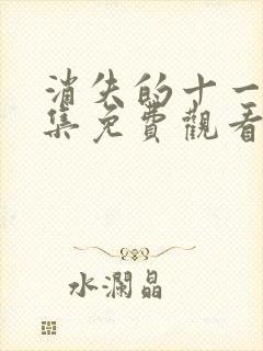 消失的十一层全集免费观看