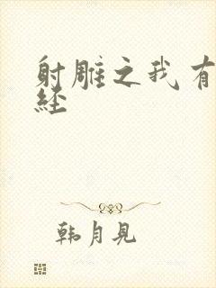 射雕之我有太玄经封面