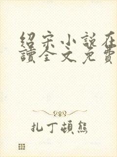 绍宋小说在线阅读全文免费