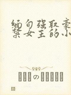 缅甸强取豪夺囚禁女主的小说封面