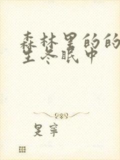 森林里的的熊先生冬眠中