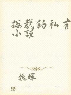 总裁的私有宝贝小说