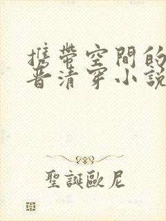 携带空间的四福晋清穿小说