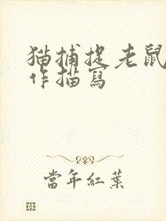 猫捕捉老鼠的动作描写