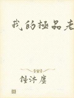 我的极品老婆版