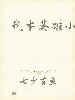 我本英雄小说