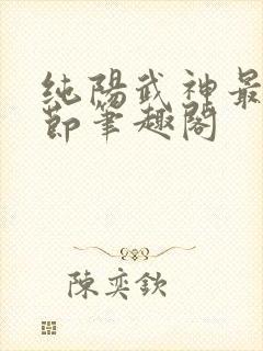 纯阳武神最新章节笔趣阁