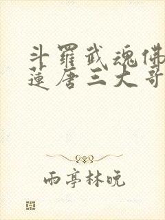 斗罗武魂佛怒唐莲唐三大哥免费阅读