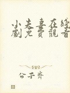 小夫妻在线电视剧免费观看全集