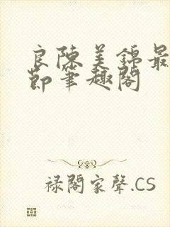 良陈美锦最新章节笔趣阁封面