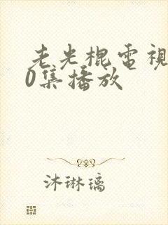 老光棍电视剧40集播放封面