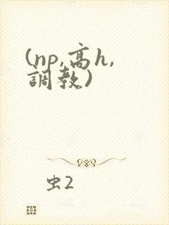 (np,高h,调教)