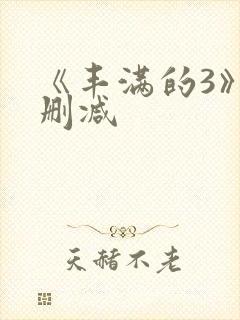 《丰满的3》无删减