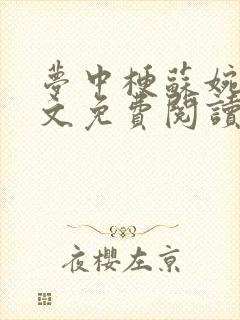 梦中梗苏婉荌全文免费阅读笔趣阁