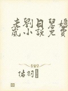 老刘日儿媳妇张岚小说免费阅读