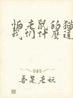 怕老鼠的猫告诉我们什么道理