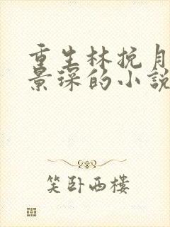 重生林挽月和顾景琛的小说