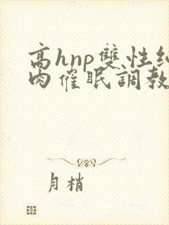 高hnp双性纯肉催眠调教封面