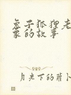 兔子狐狸老虎大象的故事封面