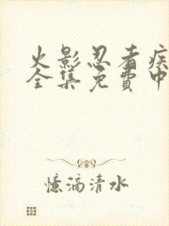 火影忍者疾风传全集免费中文版