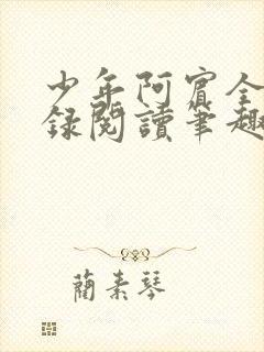 少年阿宾全文目录阅读笔趣阁