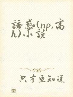 诱惑(np,高h)小说封面