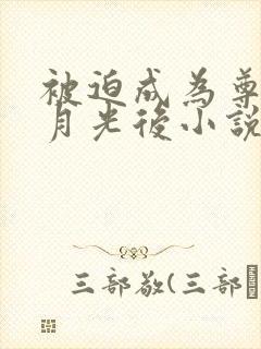 被迫成为尊上白月光后小说免费阅读