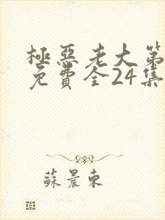 极恶老大第3季免费全24集