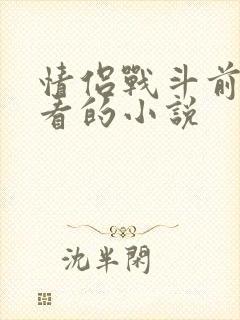 情侣战斗前适合看的小说