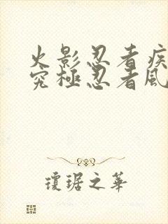 火影忍者疾风传究极忍者风暴2