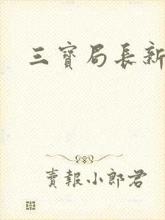 三宝局长新编封面