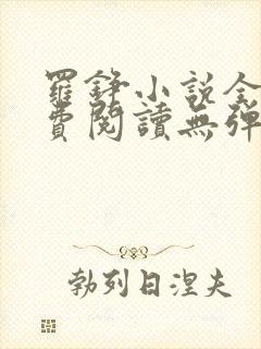 罗铮小说全文免费阅读无弹窗