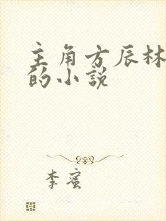 主角方辰林雪妍的小说封面