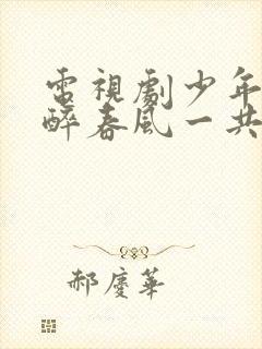 电视剧少年白马醉春风一共多少集