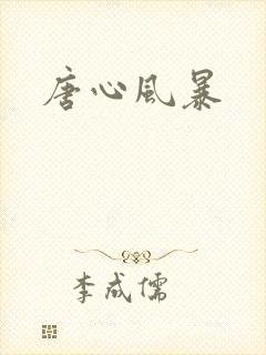 唐心风暴