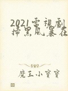 2021电视剧扫黑风暴在线观看22集