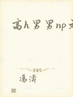 高h男男np文