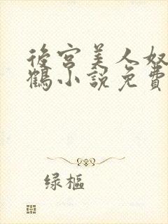 后宫美人奴闲云鹤小说免费阅读最新