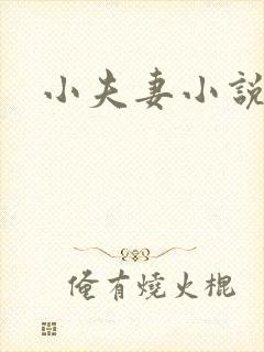 小夫妻小说封面