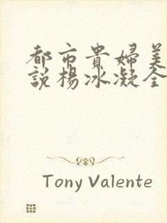 都市贵妇美腿小说杨冰凝全文阅读