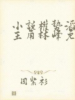 小说权势滔天男主角林峰免费阅读