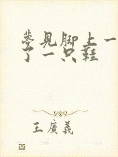 梦见脚上一样穿了一只鞋封面