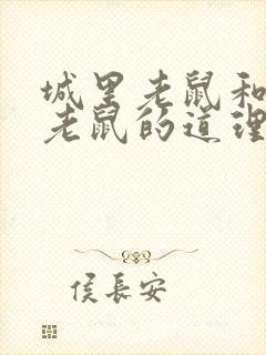 城里老鼠和乡下老鼠的道理