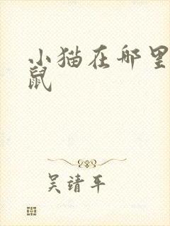小猫在哪里捉老鼠