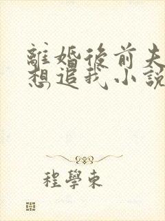 离婚后前夫总是想追我小说免费听书