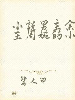 小说男主余年女主周婉的小说