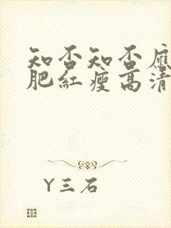 知否知否应是绿肥红瘦高清字幕封面