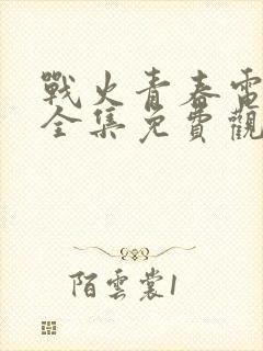 战火青春电视剧全集免费观看高清